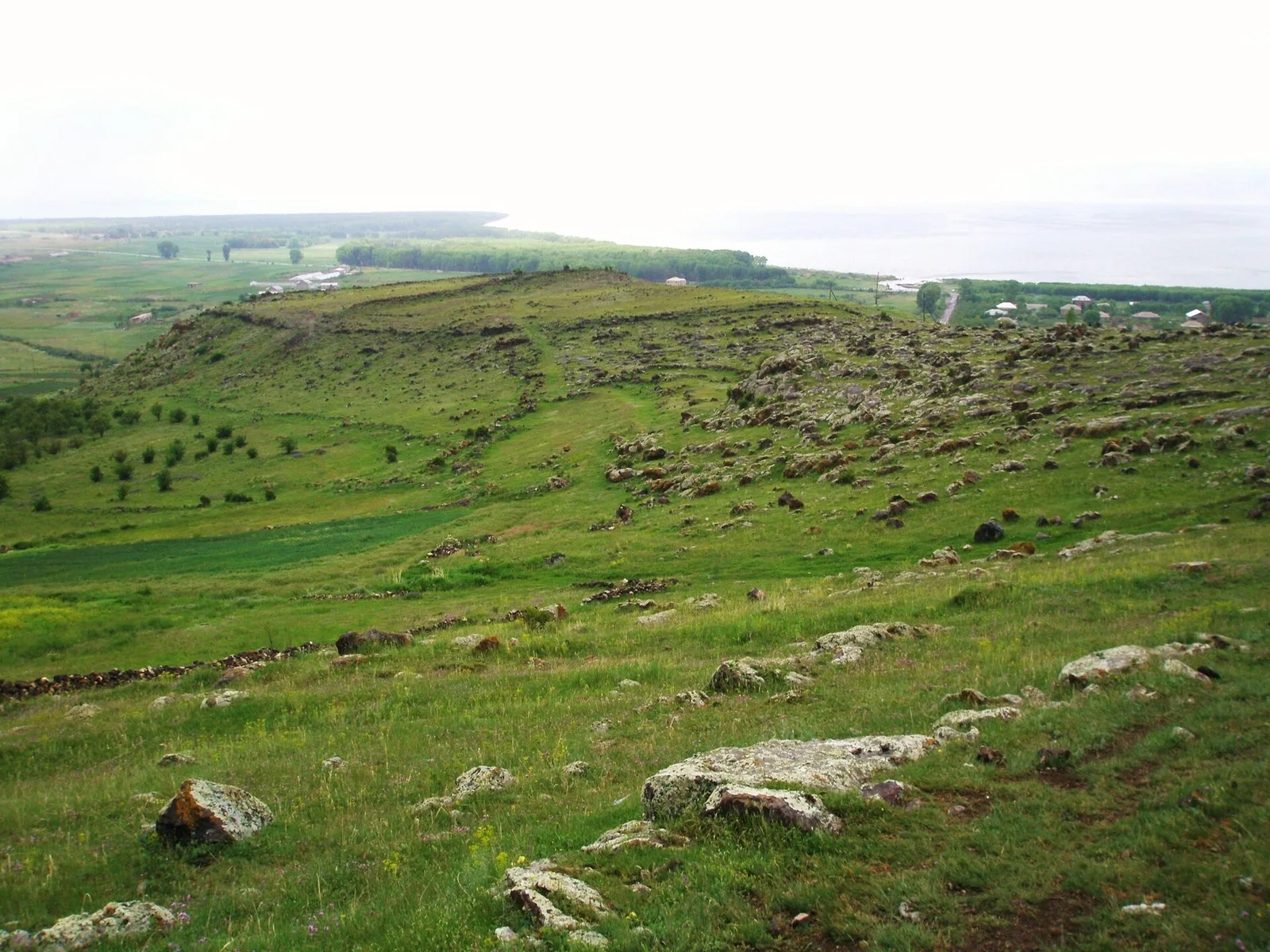 Teysheba